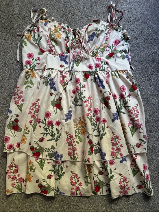 Cider Dresses & Skirts - NWOT Cider Strawberry Floral Mini Dress (2XL)
